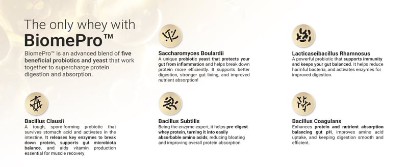 Product info 5